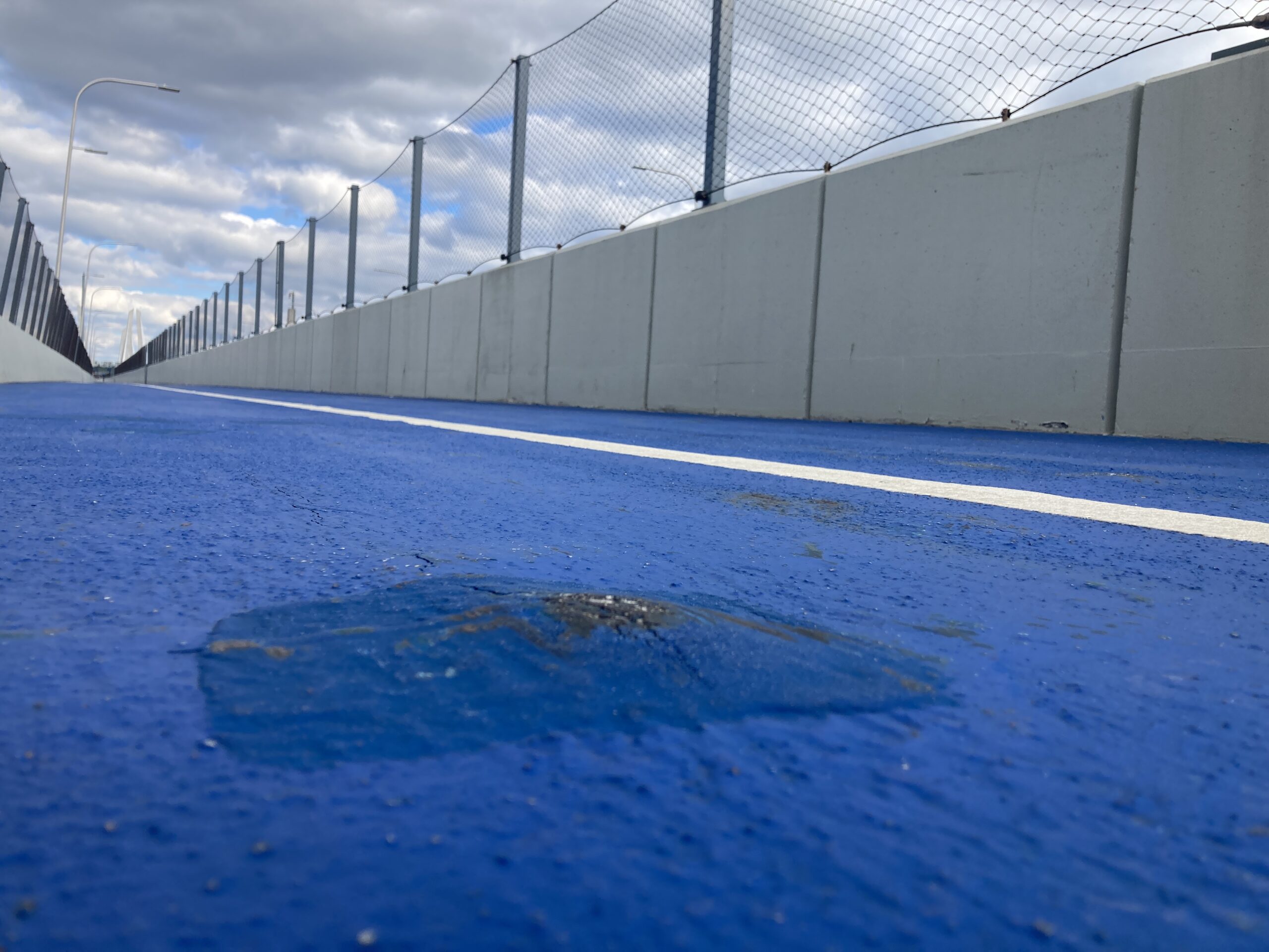 TZ Bridge Bike Path Files from the NYS Thruway Authority